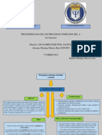 Etiologías Del Daño Cerebral