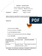 Actividad 3  Etogramas de  varios animales_240310_205244