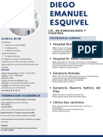 CV Diego Emanuel Esquivel 2024