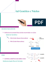 Dna e Nucleo - Anotações