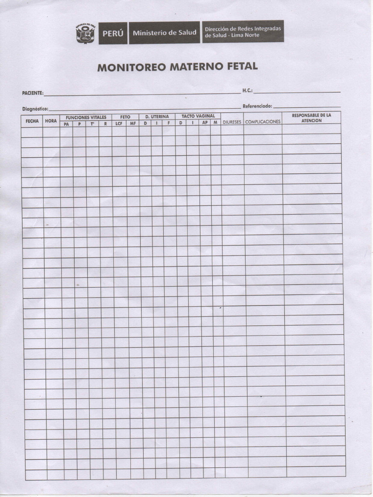 hoja-gr-fica-monitoreo-f-pdf