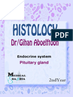 1- Endocrine System Pituitary Gland