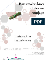 Grupo # 5 - Diapositivas (2do Parcial)