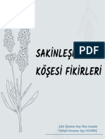 Sakinlesmekosesifikirleri