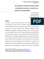 Polyphemus en La Reserva Ría Lagartos, Yucatán: Una: Disminución de Poblaciones de Cacerolita de Mar Limulus