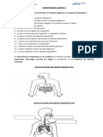 CUESTIONARIO APARATO DIGESTIGO Y RESPIRATORIO  UNIDAD 2 (2)