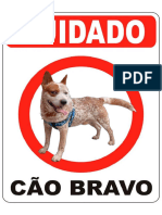 Placa Cao Bravo