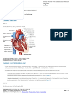 Chapter 1-01 - Anatomy and Physiology in Cardiology
