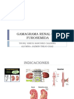 Gamagrama Renal Con Furosemida