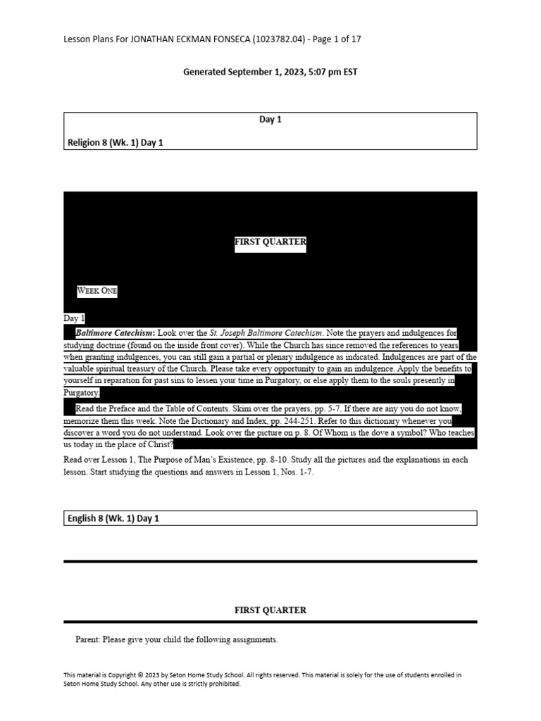 Lesson Plan First Weekk 8th Grade | PDF | Grammatical Gender | Indulgence