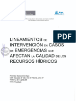 RJ #156 - 2018 Lineamientos de Intervencion de Emergencias Calidad