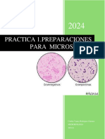 Practica 1 Preparaciones para Micros