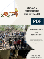 Las Abejas: Territorios Ancestrales