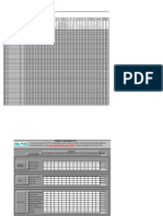 Formatos P100 y Resumen P100 V00