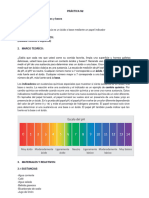Práctica Ácido Base