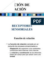 Receptores Sensoriales