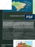 Característica Do Território Brasileiro