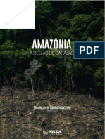Cap30 Livro Amazonia Regiao de Carajas