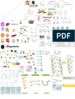 Biomoleculas