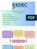 Tarea Integradora Sociologia