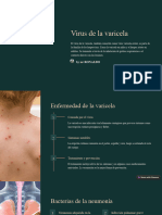 Virus de La Varicela