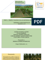 Paso 2 - Diseño y Manejo de Los Sistemas Agroforestales