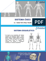 Tema 4 - Sistema Óseo