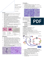 M2. TISSUE and INTESTINAL COCCIDIA