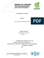 Mitosis Informe