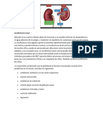 Insuficiencia Renal