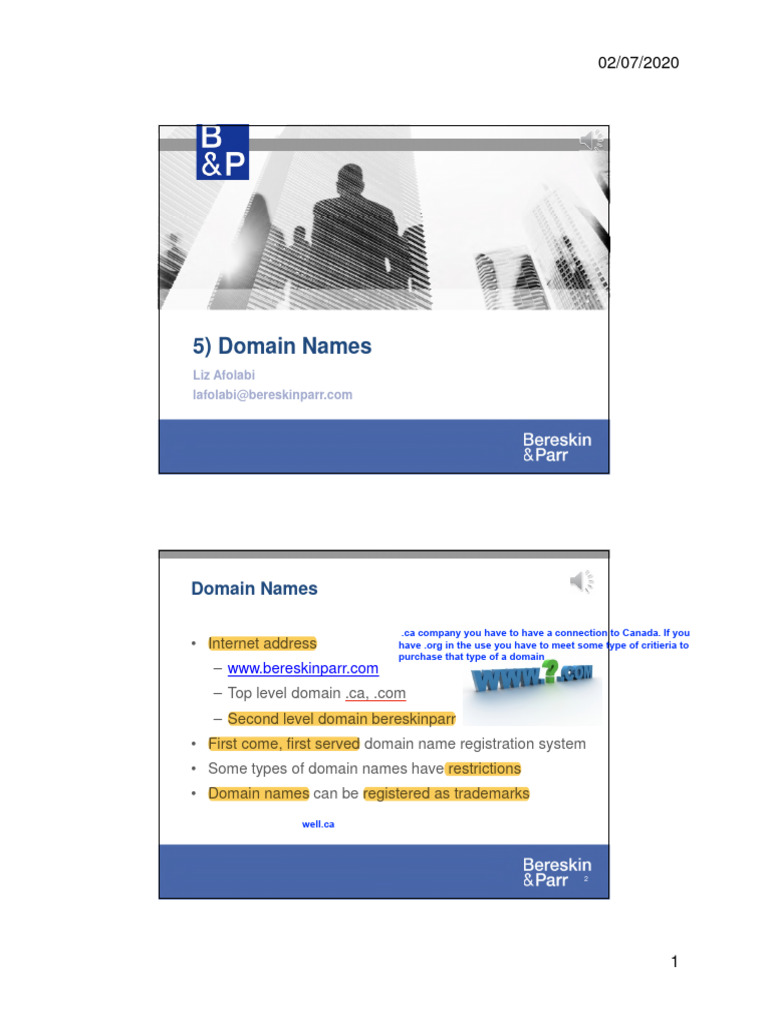 Understanding Domain Name Disputes | PDF | Trademark | Domain Name