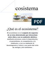 El Ecosistema