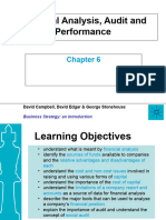 Financial Analysis Audit and Performance