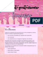 Aparato Genitourinario Femenino