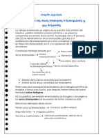 Tarea 4 Formacion de Arcos Faringeos