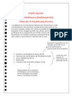 Tarea 5 Evolucion de Los Procesos Faciales