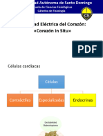 CorazonInSitu CORAZON INSITU FISIOLOGIA 1