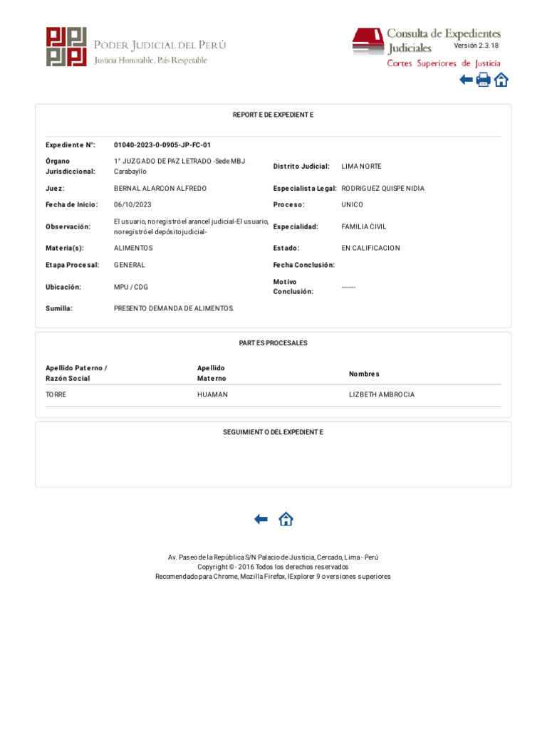Cej consulta de expedientes judiciales detalle de la busqueda de