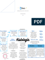 Mapa Mental de Histo 302408 Downloadable 5374299