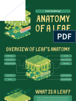 Anatomy of A Leaf Science Educational Presentation in Green and Yellow Illustrative and Fun Style