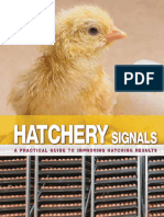 Hatchery Signals, A Practical Guide To Improving Hatching Results (VetBooks - Ir)