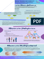 Silva Estefania - Infografia Sobre La Herencia