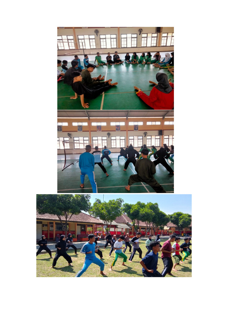 Silat intelligence overview