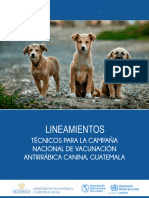 Linemientos Tecnicos Campana Nacionalde Vacunacion Antirrabica Canina Guatemala