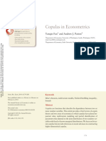 Fan Patton Copulas in Econometrics