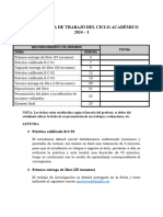 Cronograma de Trabajo Del Ciclo Académico 2024 - I