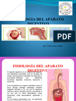 Fisiologia Aparato Digestivo