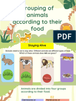 Animals According To Their Food