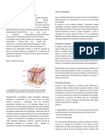 Cicatrizacionfpdfv 3