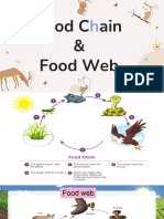 Elements in Food Chain